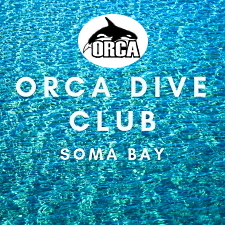 ORCA Dive Club Soma Bay